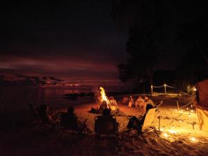 The Survival by Seudam