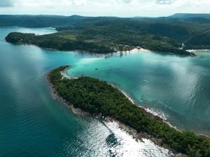 The Survival by Seudam