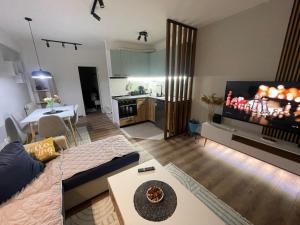 Veskovski-apartment in the center of Skopje