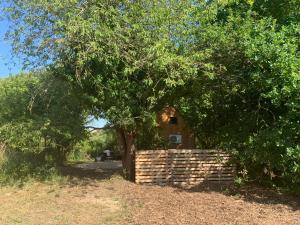 Lodges Tiny sur Conie Avec volupte : photos des chambres