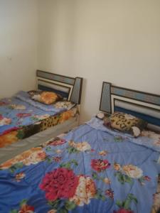 Home by sea الساحل الشمالي قرية التجاريين