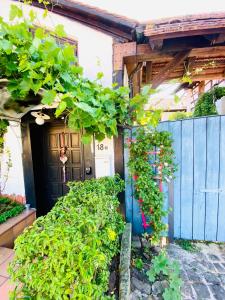 Ferienwohnung der Familie Budzisch