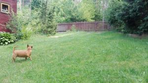 Domek Letniskowy Dłużek Mazury