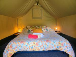 B&B / Chambres d'hotes gites o fil de l'eau : photos des chambres