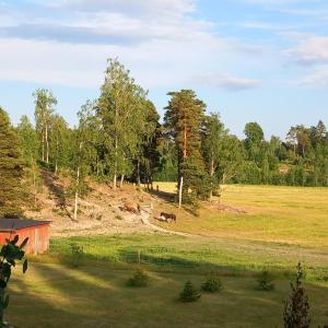 Stuga med bastu i naturen nära Stockholm