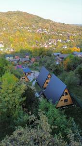 Carpatina Rustic House -Chaleturi A-frame Runcu