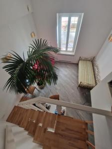 Camere di Kentia img25