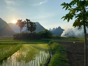 Xoi Farmstay - A Home Farm in Lam Thuong valley - North Vietnam