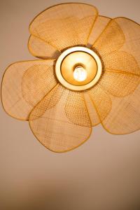 101 Flats Colosseo Suites