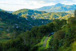 Lina Eco Cottage - Ella