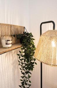 Appartements Maison et Studio, Olivier I Sirocco : photos des chambres