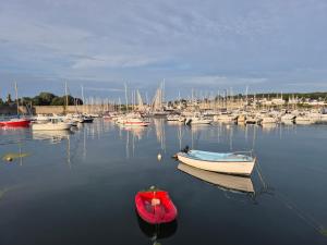 Appartements Urban Sunny & Cosy : photos des chambres