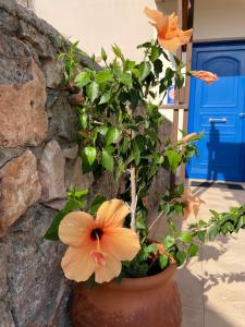 Villa Hibiscus, piscine privée avec une vue splendide