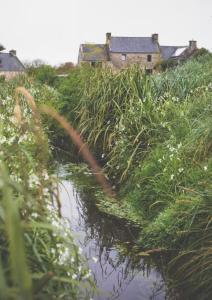 Maisons de vacances Moulin du Roz : photos des chambres