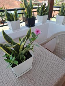 Vila Haznedari-City Center