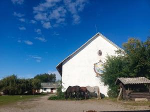 Ubytování na statku