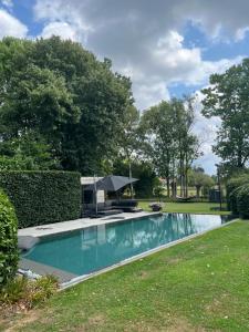 Basement Tomorrowland 2025