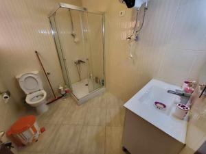 مارينا فالي