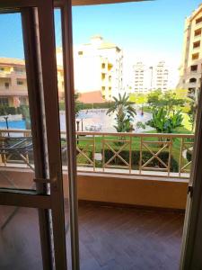 مارينا فالي