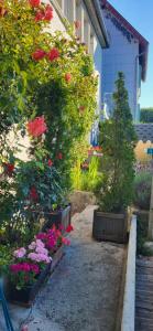 Gîte La petite maison horlogère deux chambres bain nordique & sauna , prêt de raquettes des neiges