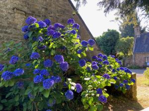 Maisons de vacances Gites du Gohic - L-Ecurie : photos des chambres