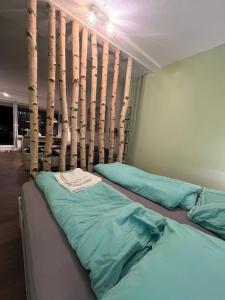 App 624 Panoramic Hohegeiß Terrassenhaus