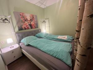 App 624 Panoramic Hohegeiß Terrassenhaus