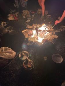 North wild camping