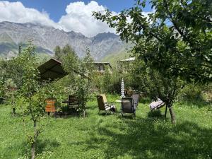 Kazbegi Green Yard