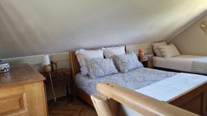 Chalets Le Domaine de la Repandise : photos des chambres