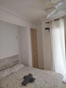 Estudio Capitán-Piscina