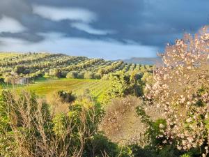 Casa 1 Spighia vista campagna vicino al mare