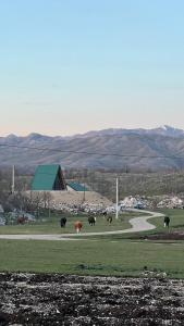 Wolf Ridge Montenegro