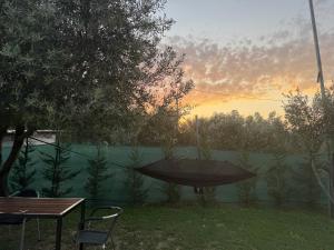 Agro Camping Harmony