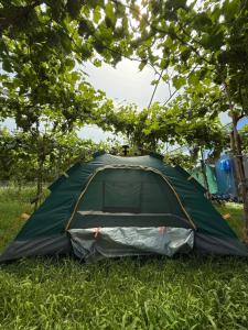 Agro Camping Harmony