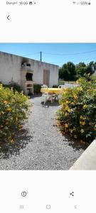 Pognère au Girouard Vendee