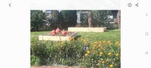 Pognère au Girouard Vendee