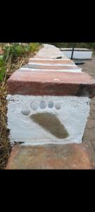 Pognère au Girouard Vendee