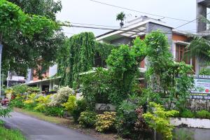 Midtown Meadow