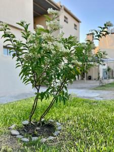 HOTEL LOS TILOS RECONQUISTA