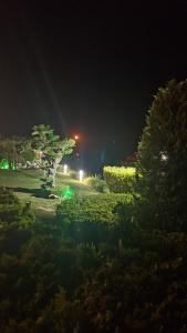 Роял Палм СТУДИО 99