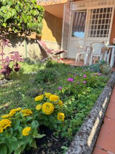 La Casetta di Francesca,Anguillara Sabazia