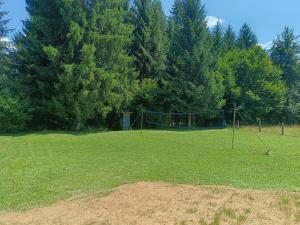 Hidden Cabin near Kočevje