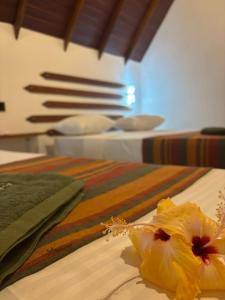 Manju Homestay