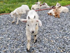 1840s Cottage 3 miles from I95 Near Shopping
