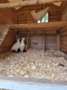 1840s Cottage 3 miles from I95 Near Shopping