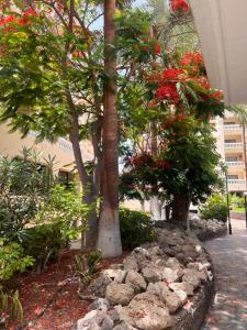 Sunny Apto Castle Harbour