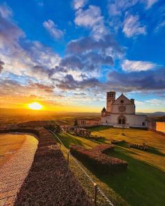 Il Sogno di Olly - Assisi