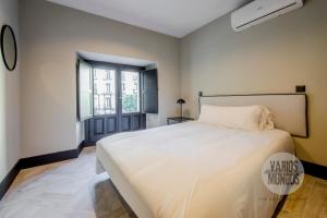 Cielo de Madrid para 7 en Santa Ana 20 E2