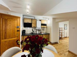 Przytulne Apartamenty w centrum Lublina